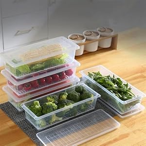 Vegetables & Fruits Freezer Storage Container (Pack Of 6Pc 1500 Ml)