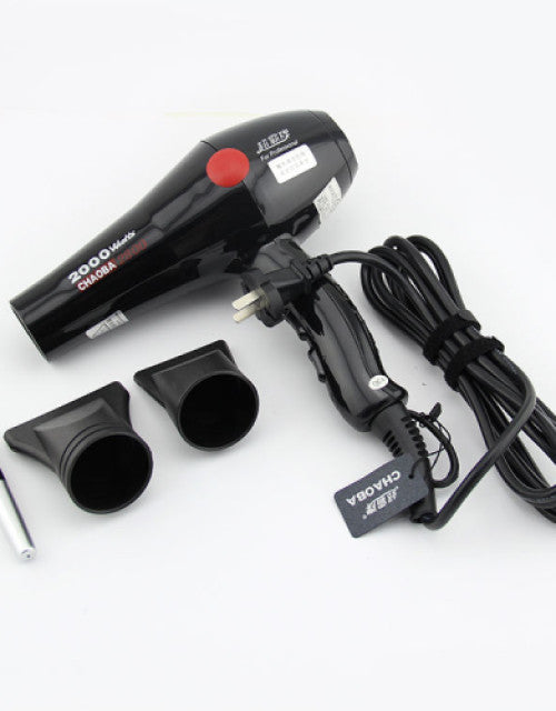 2000 Watts Professional Hair Dryer (Black- Model 2800)